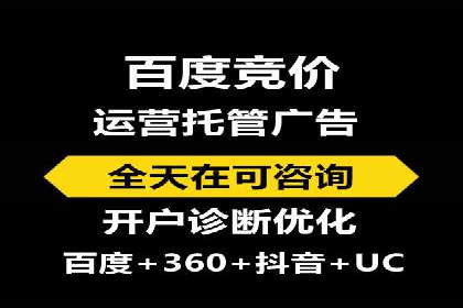 谷歌SEM案例研究：数据分析与效果评估